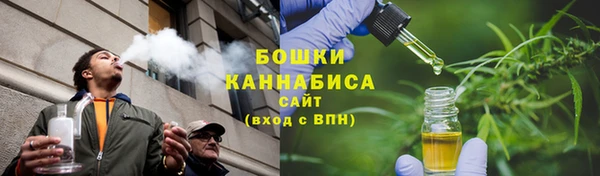 бошки Алексин