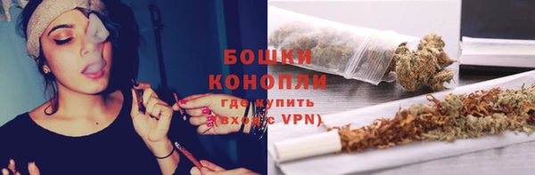 бошки Алексин