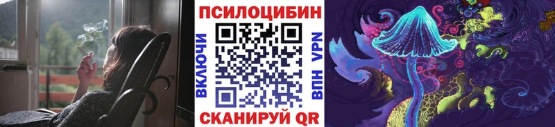 где продают   Новая Ладога  Галлюциногенные грибы ЛСД 